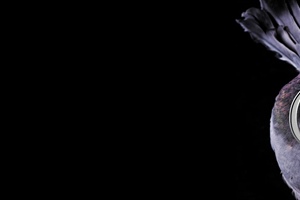 Maximum Twitter with Minimum Effort in 10 Steps